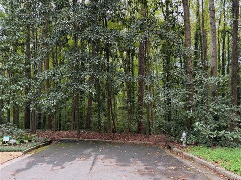 Buckhead Estate Lot Opportunity