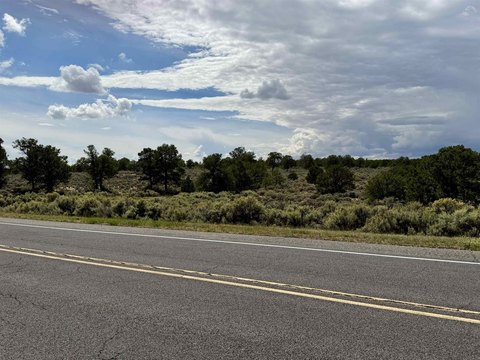 Forested Private Hunting Land
