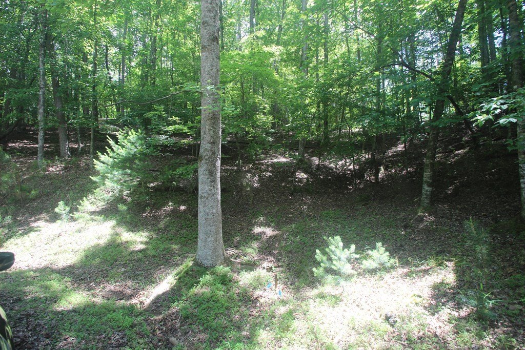 Picture 3