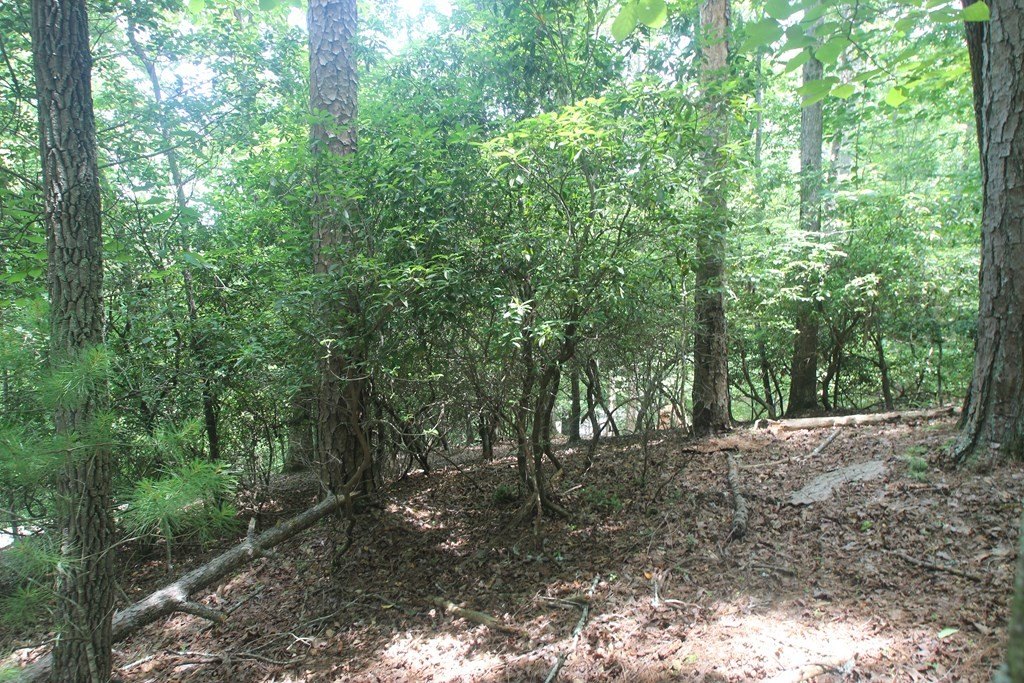 Picture 13
