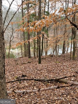 Hartwell, GA Land For Sale