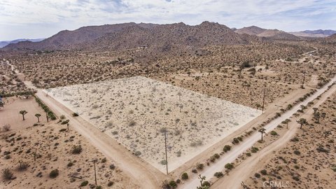 Land, Joshua Tree, CA