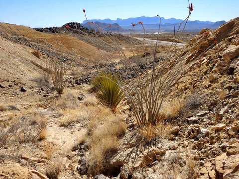 Terlingua Land with Highway Frontage