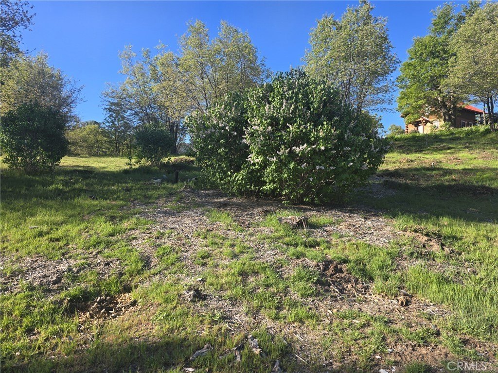 Land in Cedar Glen, CA