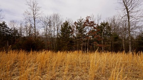 Gepp, AR Wooded Acreage