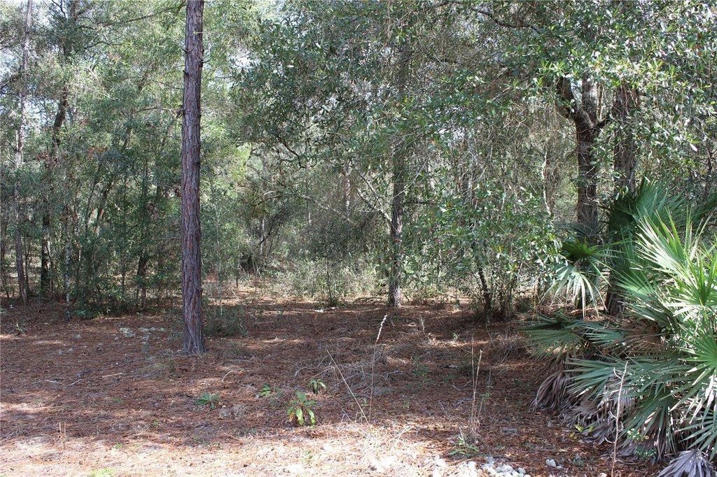 Picture 4