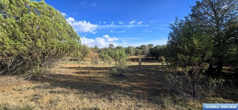 LAND - Silver City, NM
