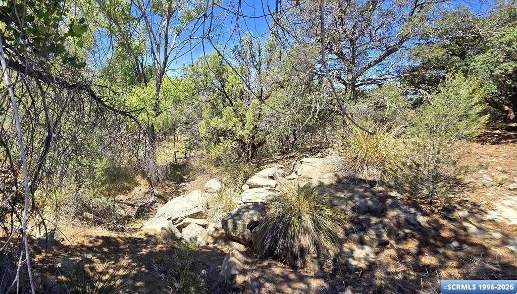 Picture 9