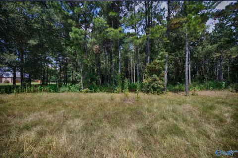 Land, Elkmont, AL