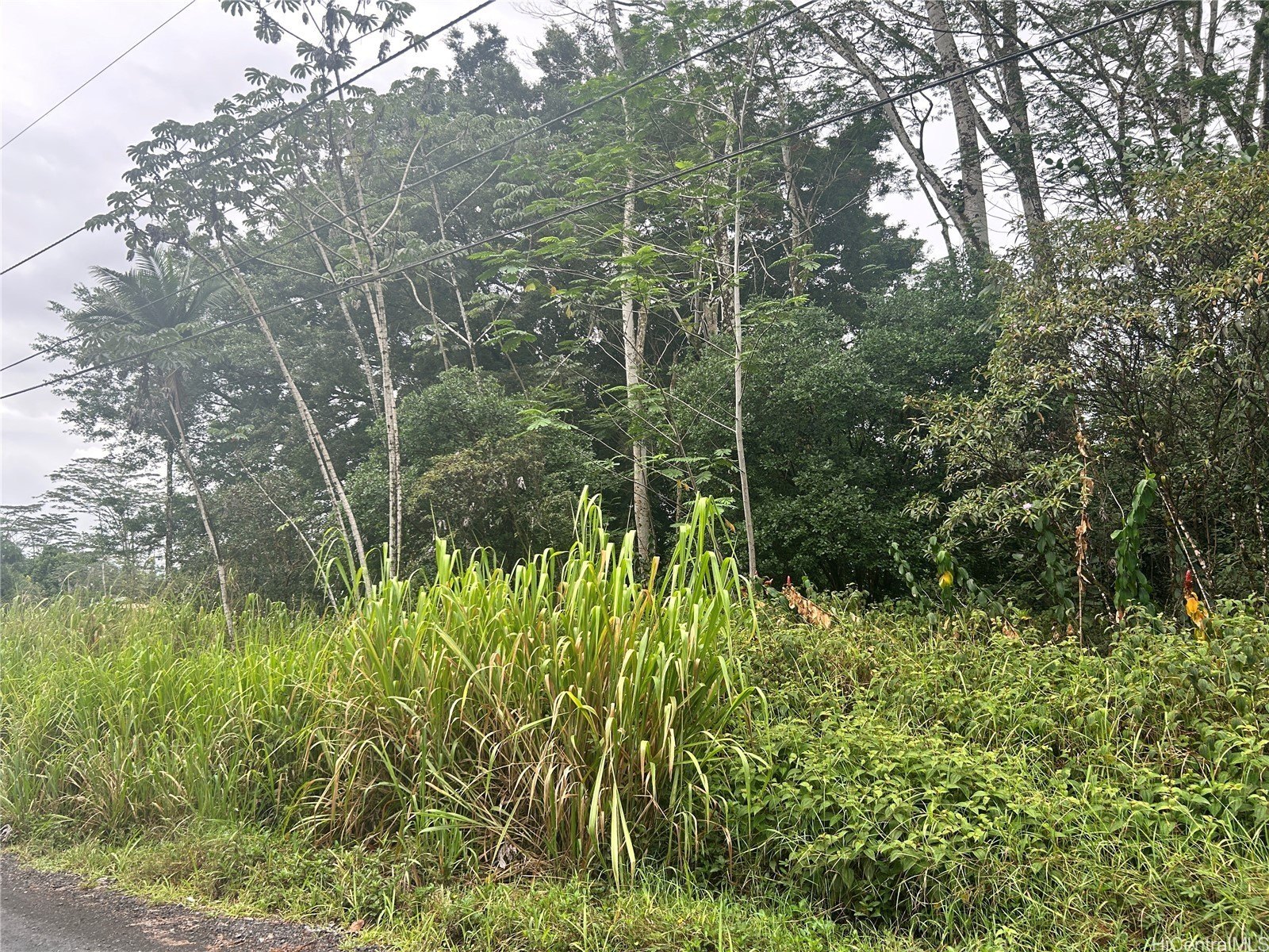 Land in Keaau, Hawaii