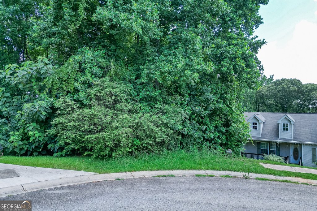Picture 3