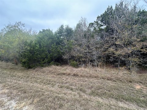 Residential Lot in White Bluff