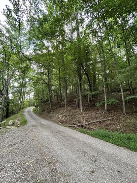 LAND - Butler, TN