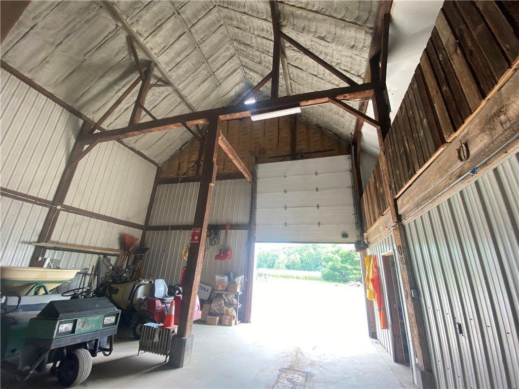 Picture 5
