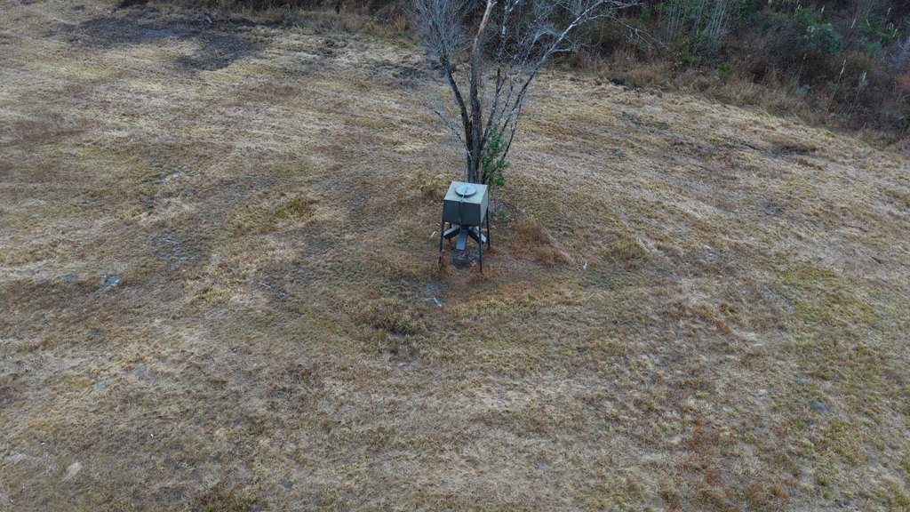 Picture 15