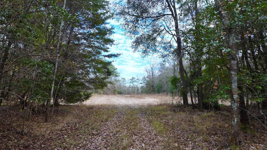 Picture 41