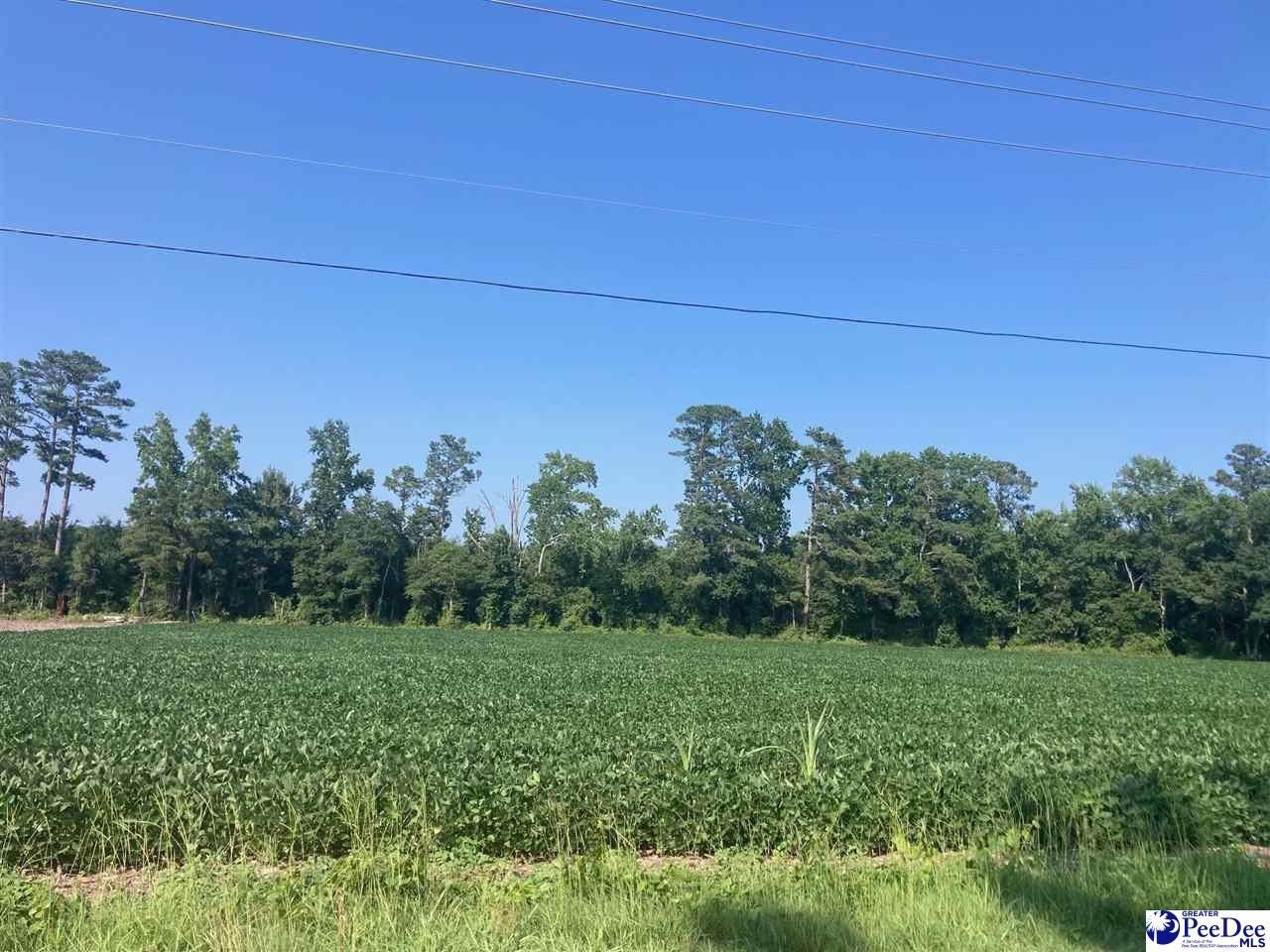 Residential Lot in Dillon, SC