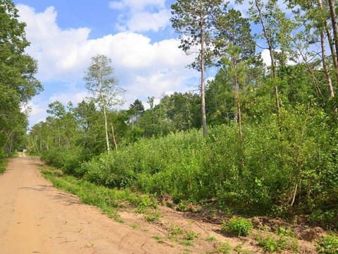 Land, Park Rapids, MN