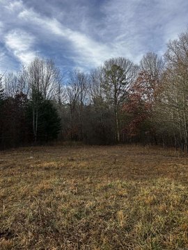 Land Near Ouachita National Forest