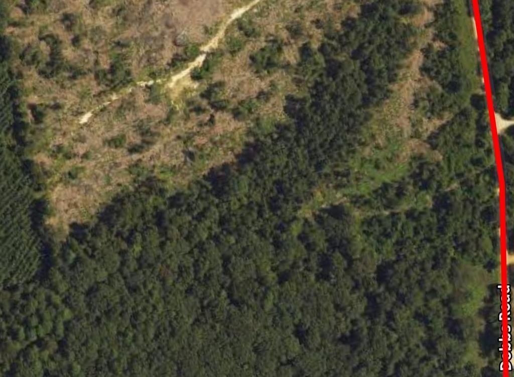 Undeveloped Land Near Garrison, TX