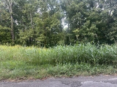 Land, LaFayette, GA