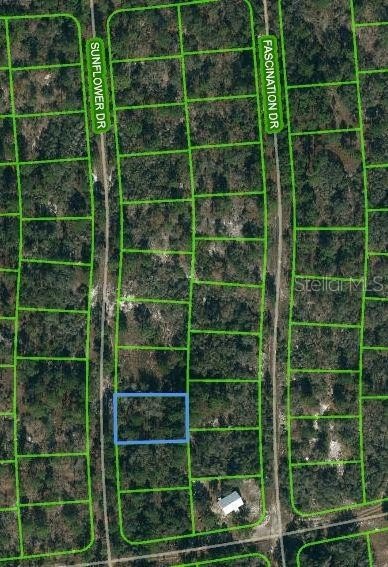 Residential Land in Lake Placid
