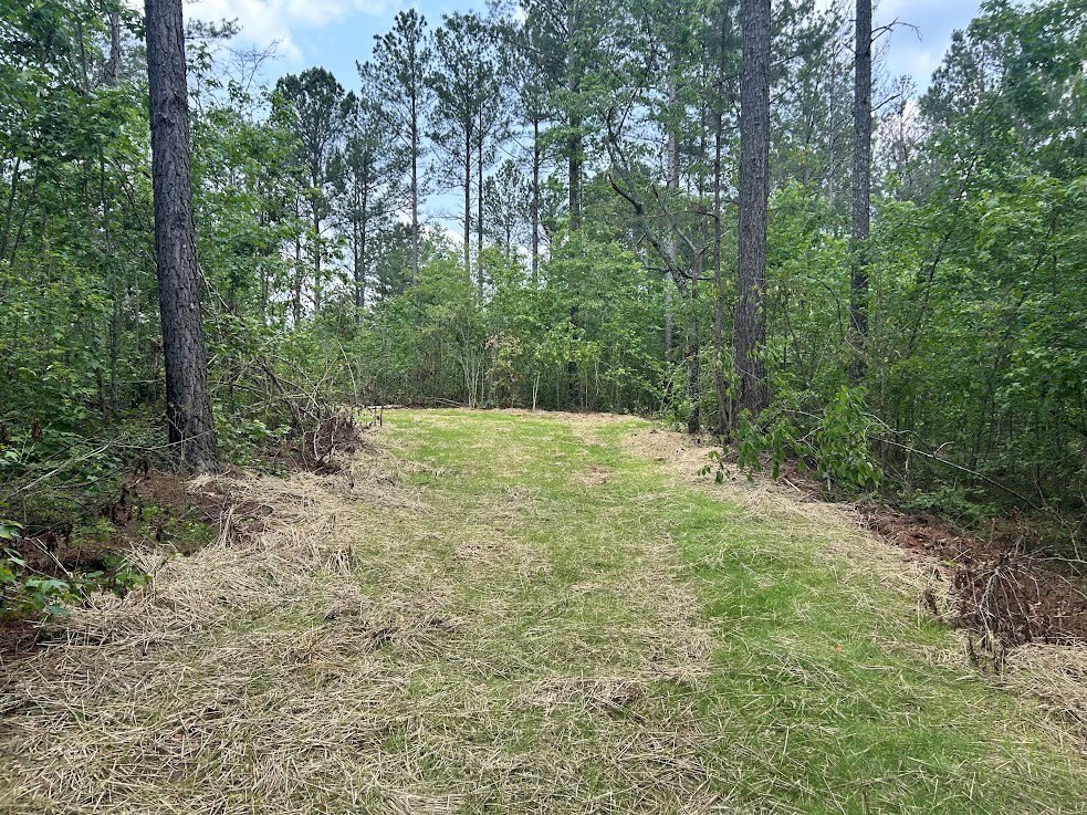 Picture 24