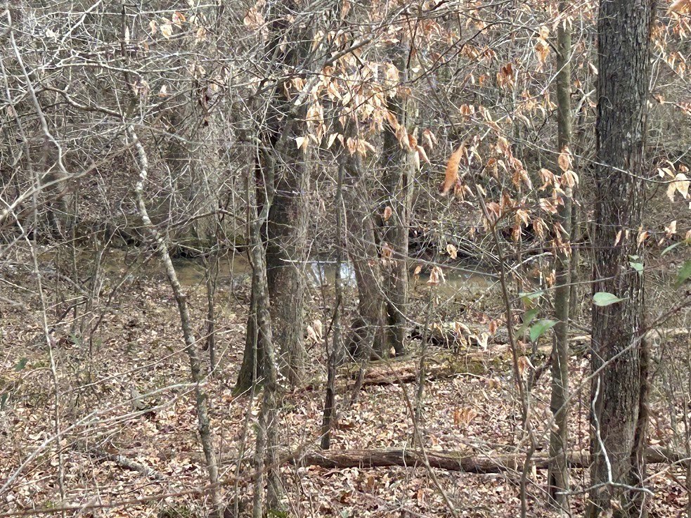 Picture 65