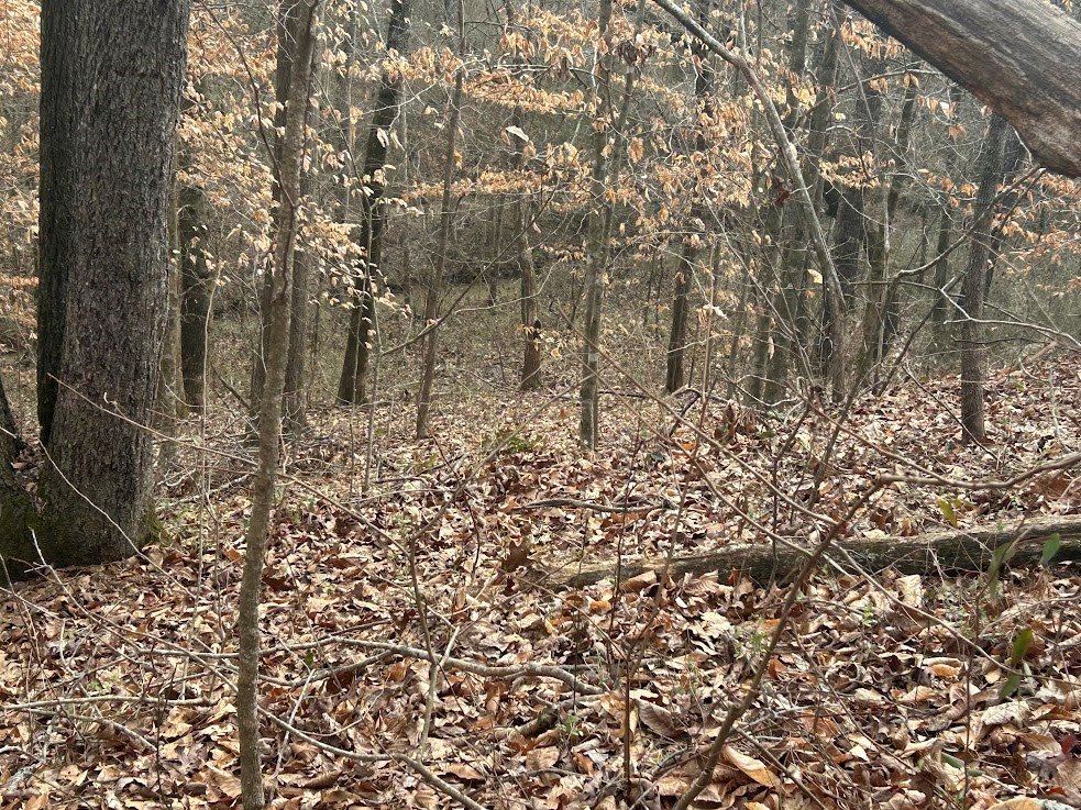 Picture 41