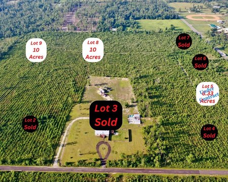 Wooded 10-Acre Parcel in Wewahitchka