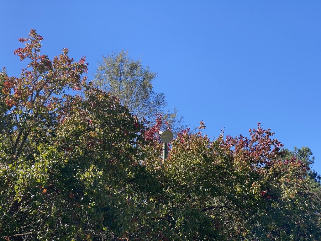Picture 8