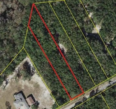 LAND - WEBSTER, FL