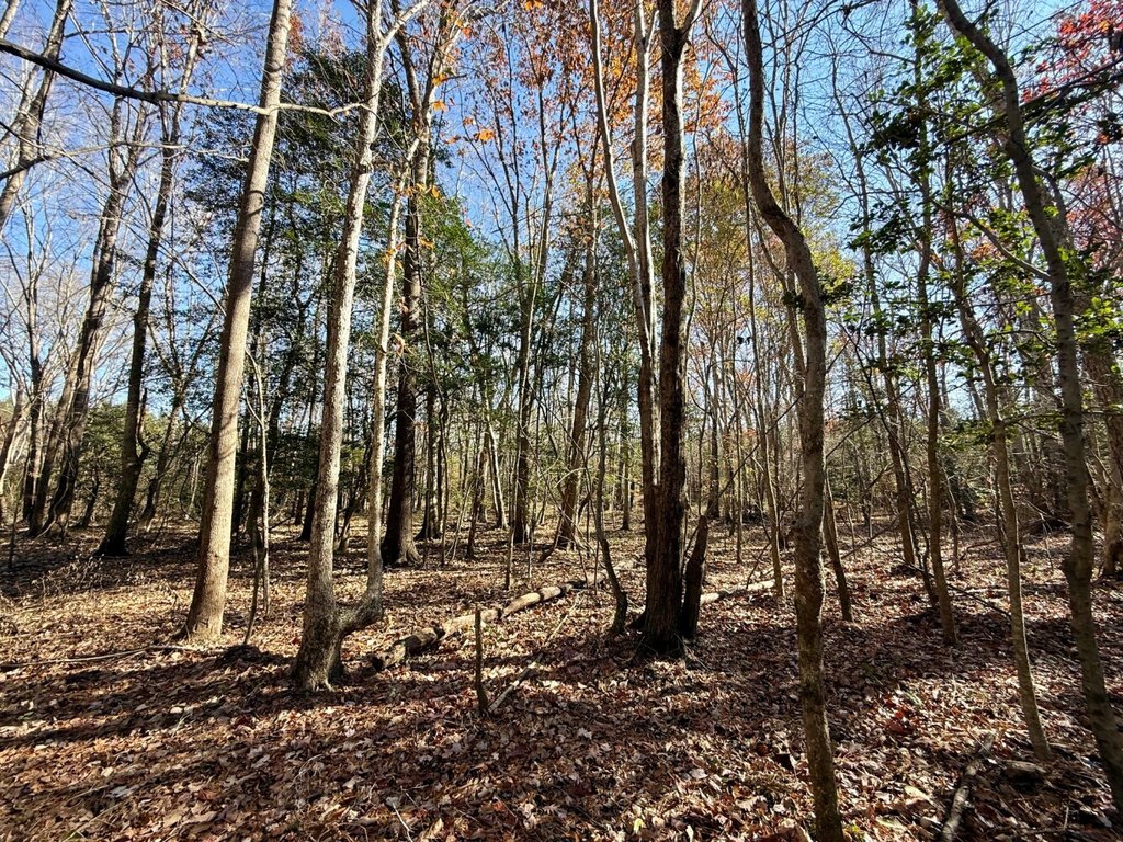Picture 27