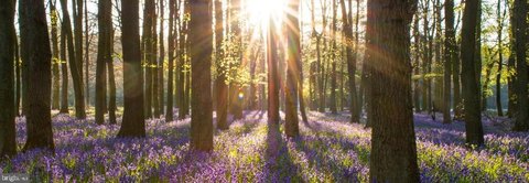 Land in Timber Hills Community