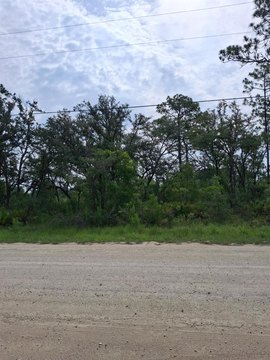 Land, WEEKI WACHEE, FL
