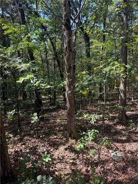 LAND - Diamond City, AR