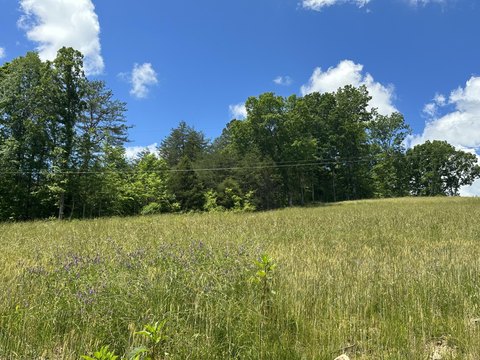 East Bernstadt Acreage with Views
