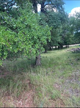 Lake Brownwood RV Lot