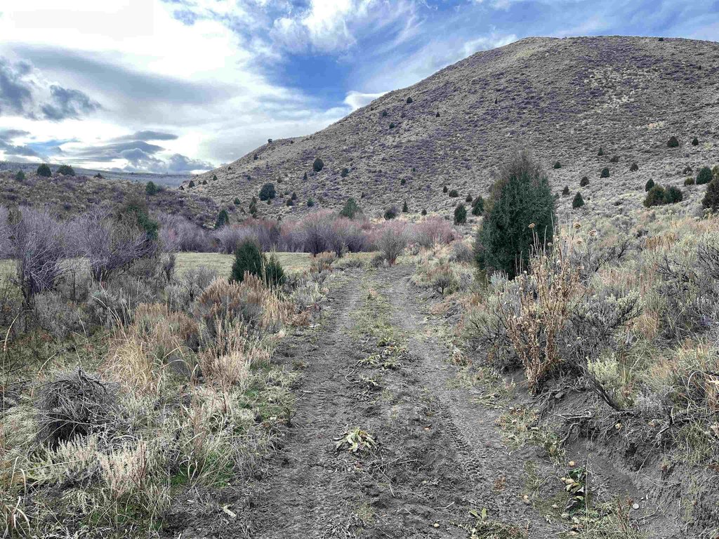 Picture 20