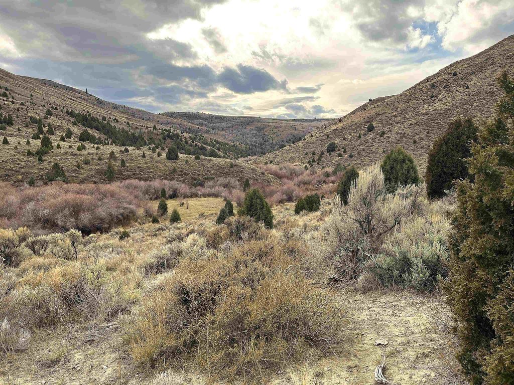 Picture 19