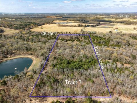 East Texas Land with Hardwoods