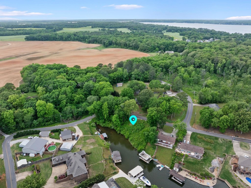 Picture 8