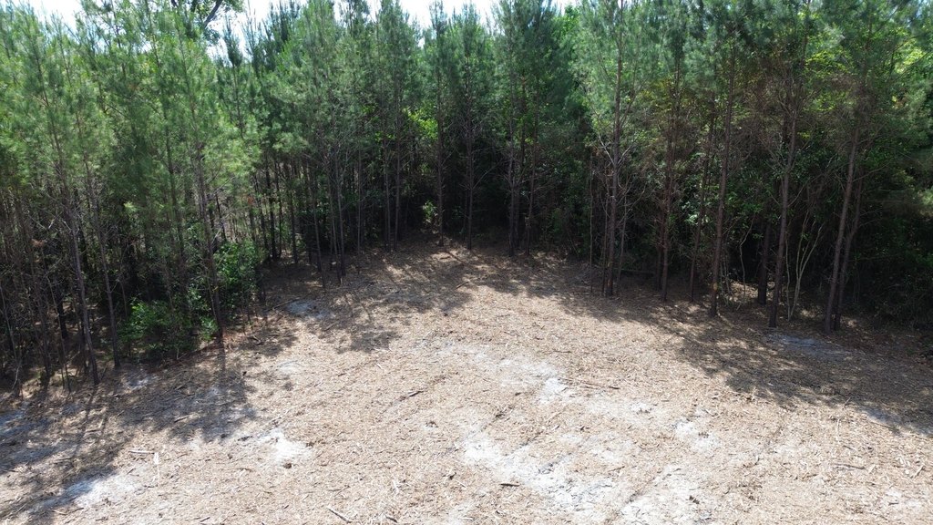 Picture 4