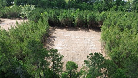 Land, Cross, SC