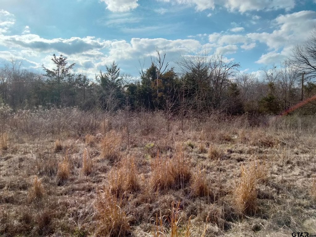 Picture 8
