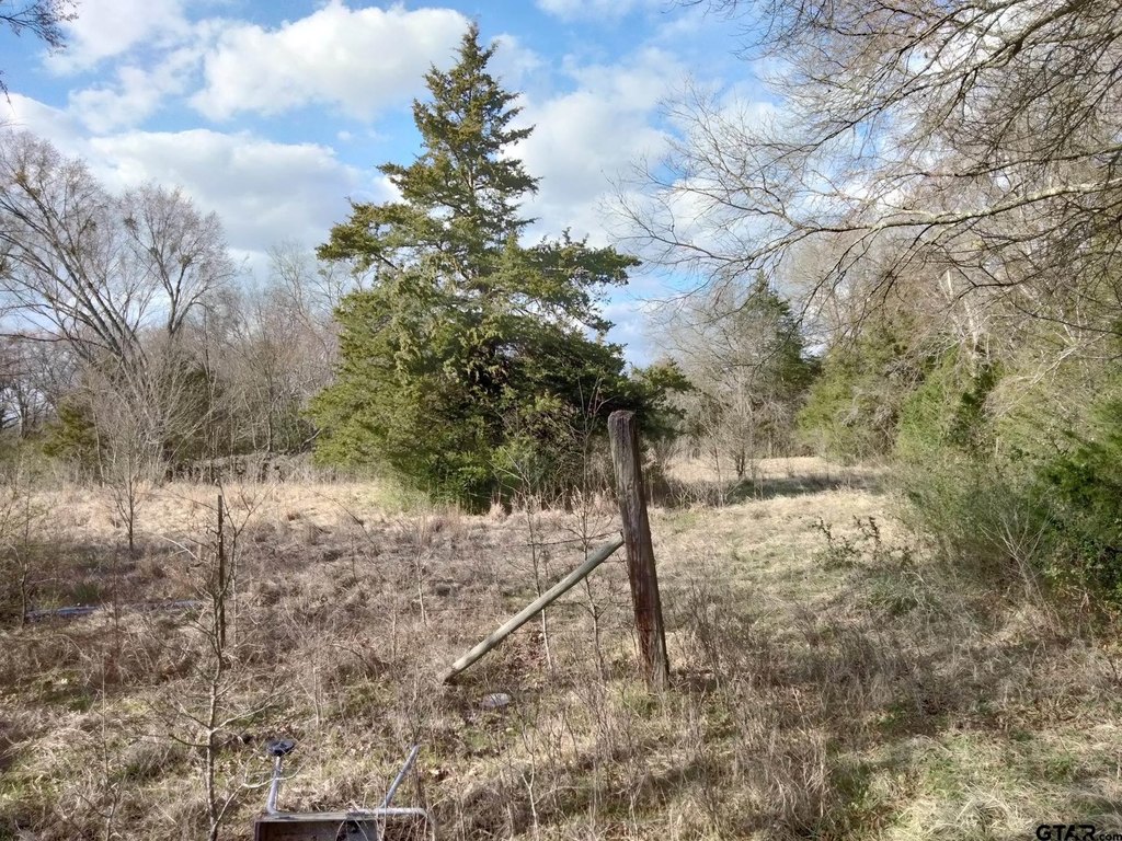 Picture 7