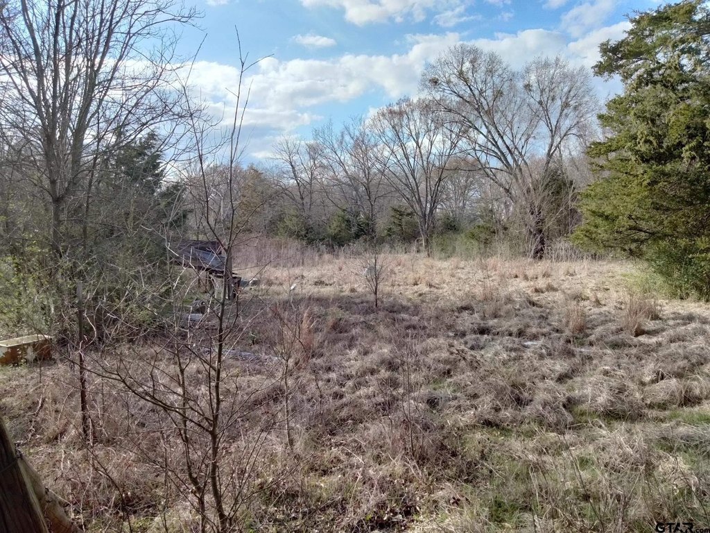 Picture 6