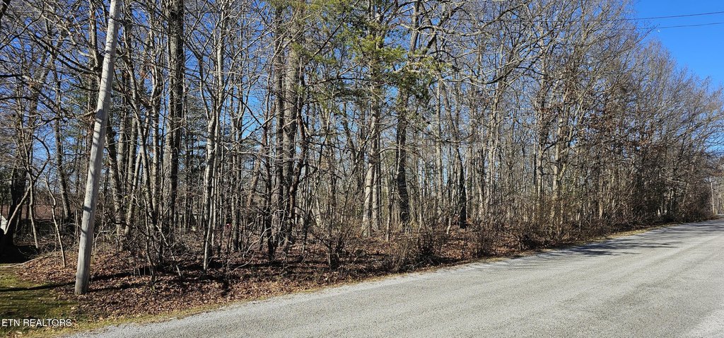 Picture 13