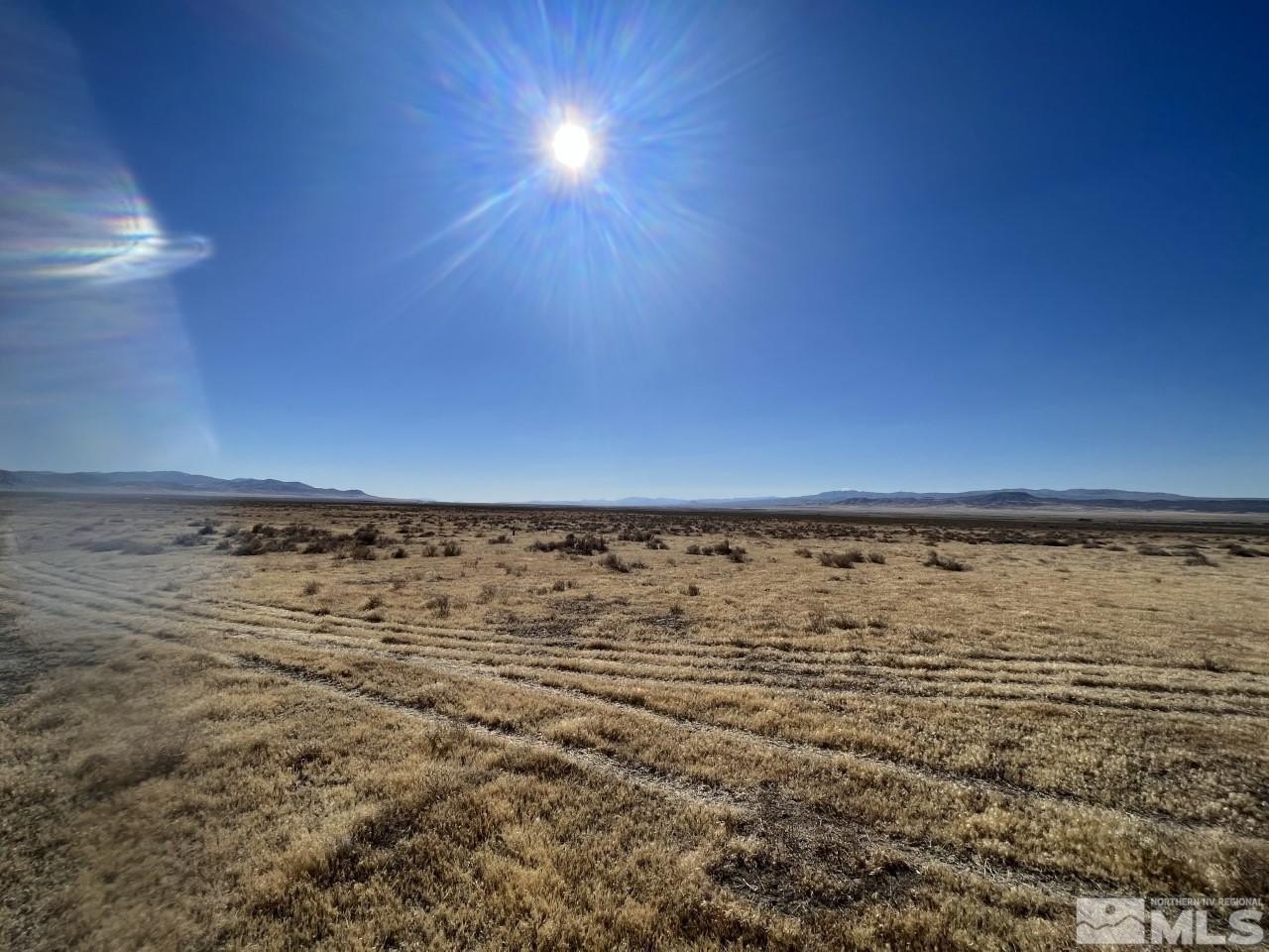 Lovelock Land with Well