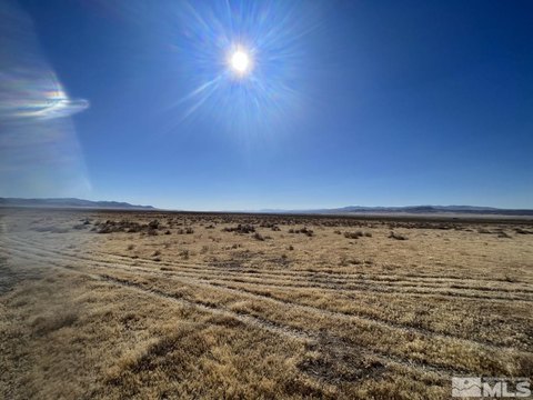 Lovelock Land with Well
